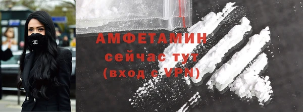 шишки Аркадак