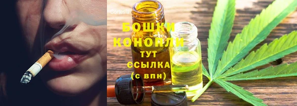 шишки Аркадак