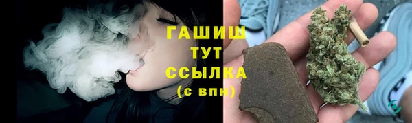 шишки Аркадак