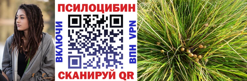 МЕГА онион  Бородино  Псилоцибиновые грибы GOLDEN TEACHER 